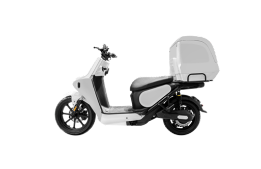 Electric Delivery Scooters