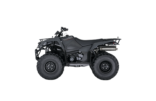 Electric Quad Bike