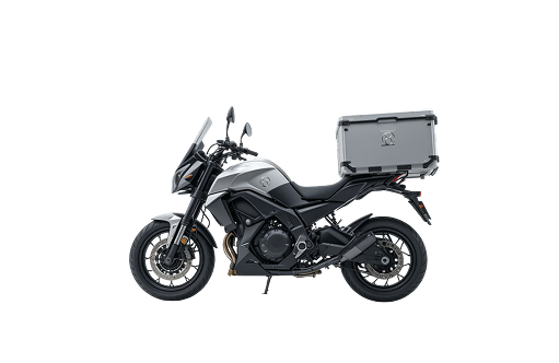 Electric Delivery Bike